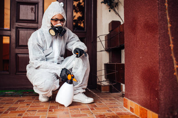 Reliable Bed Bug Control contractor in Methuen Town, MA by Nex Pest Control