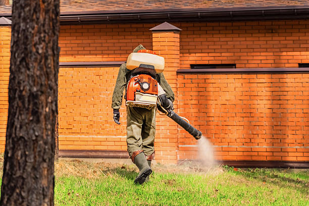 Trusted Termite Control service in Methuen Town, MA - Nex Pest Control